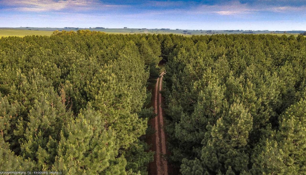 Pinos De La Quebrada Vila Treinta y Tres Exterior foto
