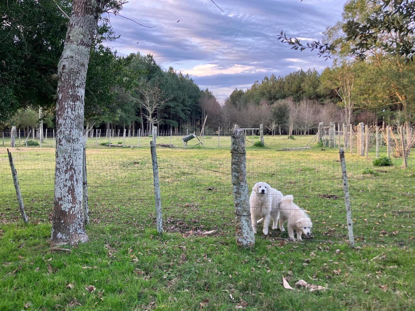 Pinos De La Quebrada Vila Treinta y Tres Exterior foto