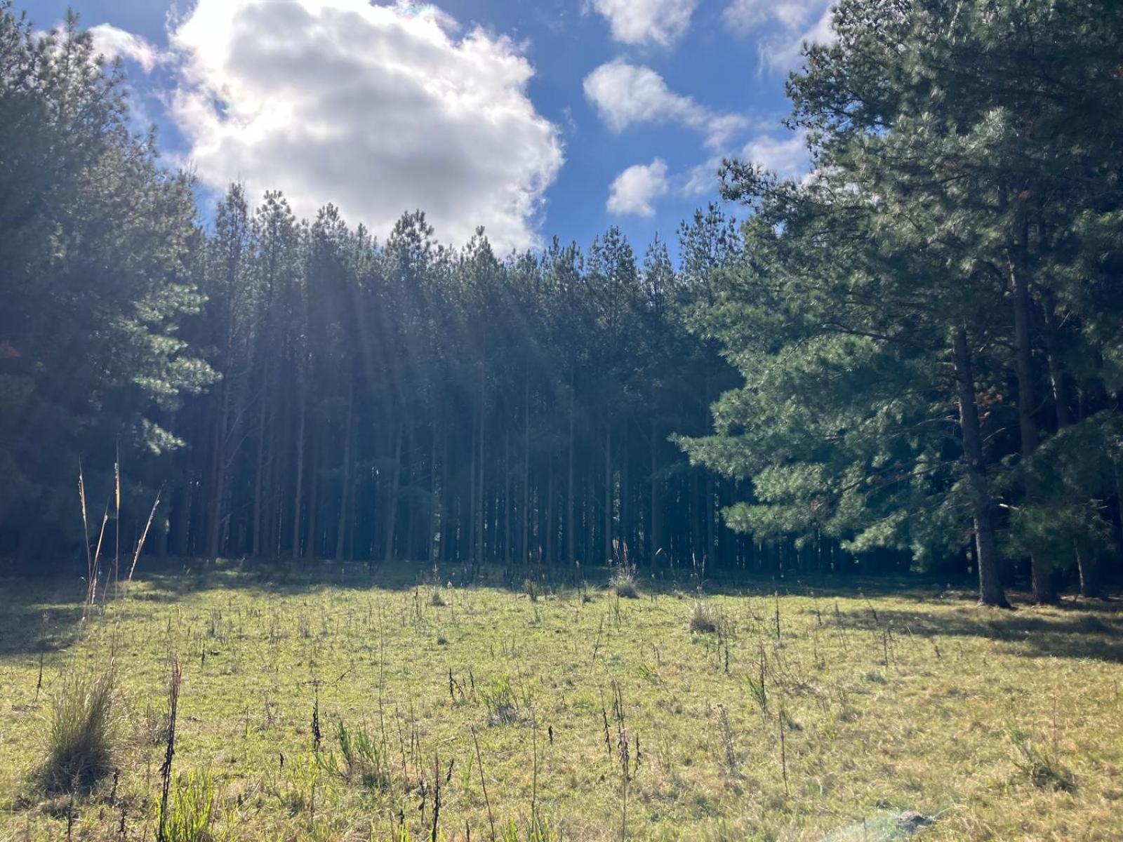 Pinos De La Quebrada Vila Treinta y Tres Exterior foto
