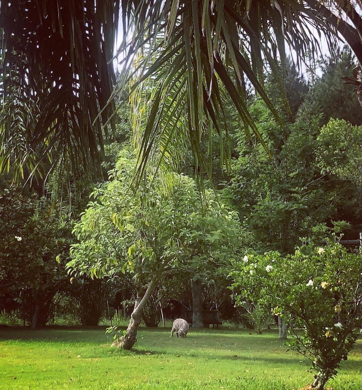 Pinos De La Quebrada Vila Treinta y Tres Exterior foto