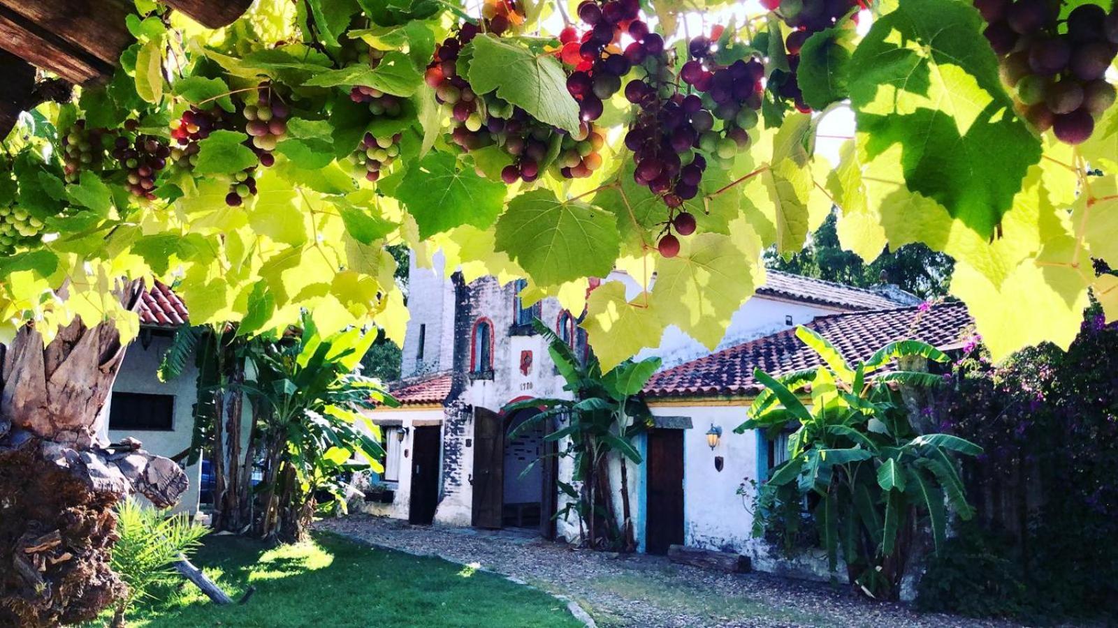 Pinos De La Quebrada Vila Treinta y Tres Exterior foto