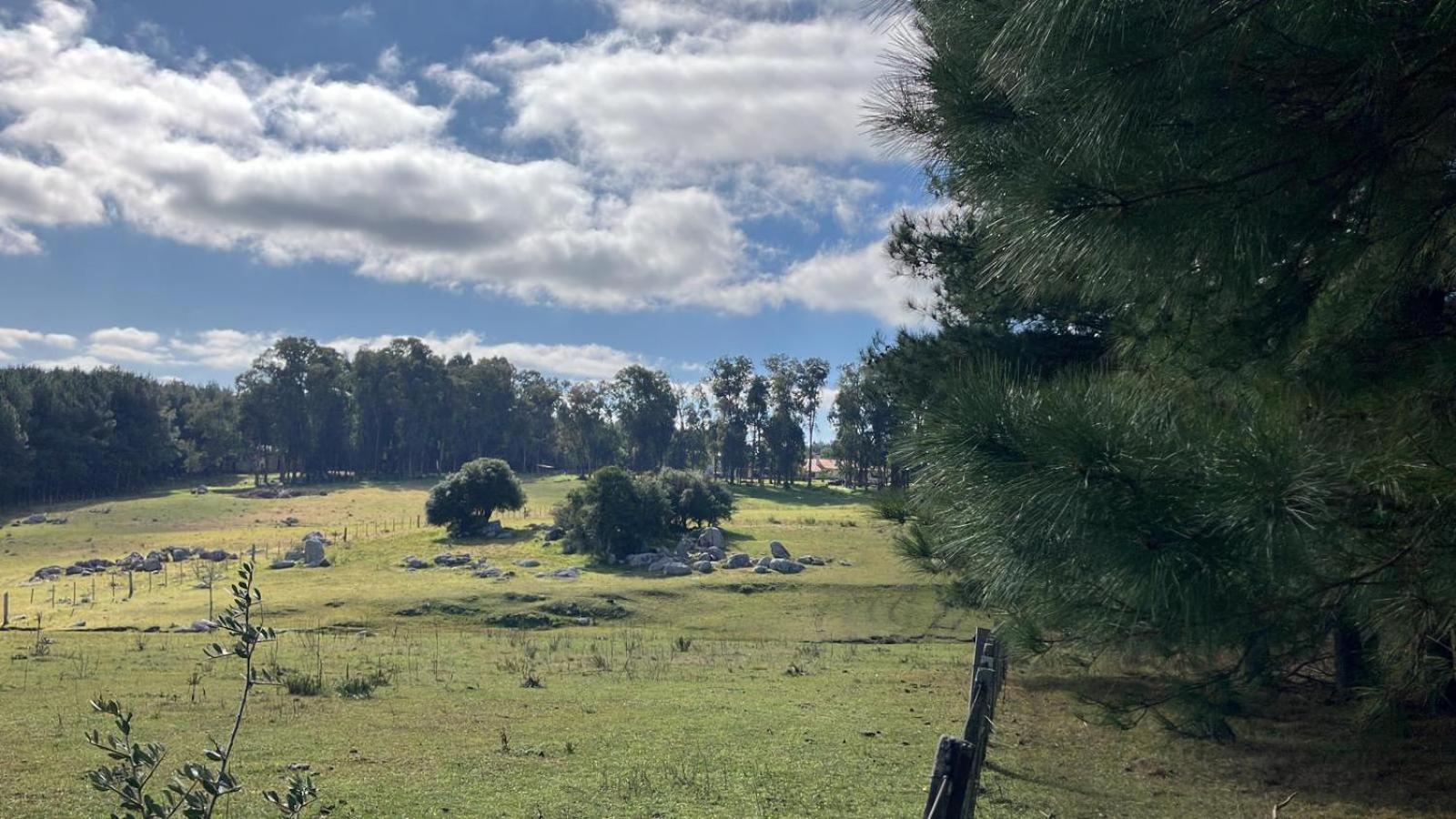 Pinos De La Quebrada Vila Treinta y Tres Exterior foto