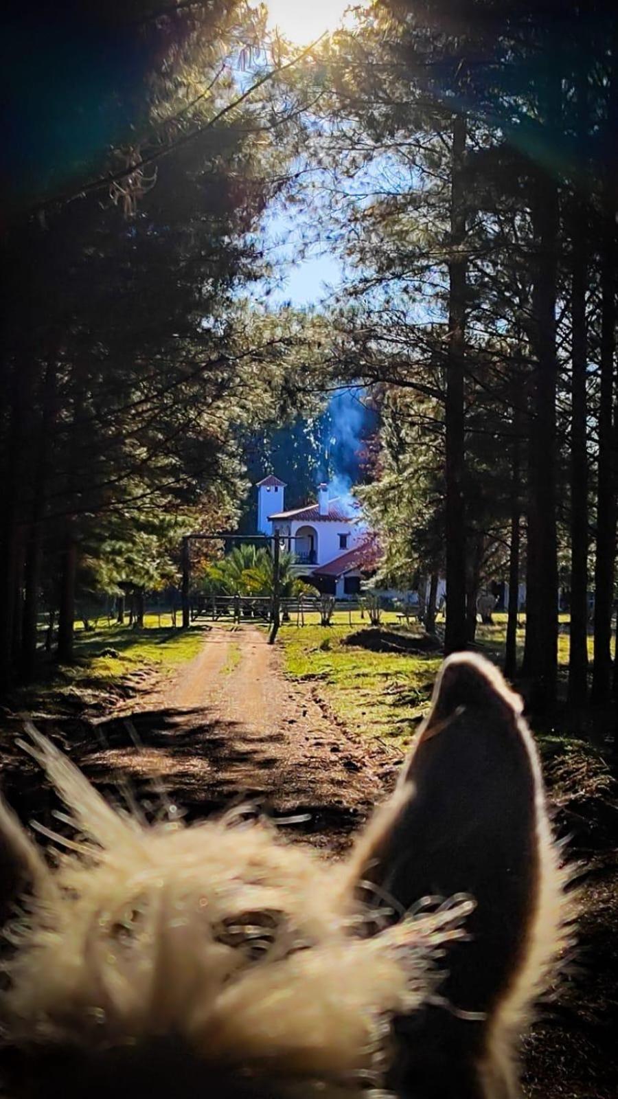 Pinos De La Quebrada Vila Treinta y Tres Exterior foto
