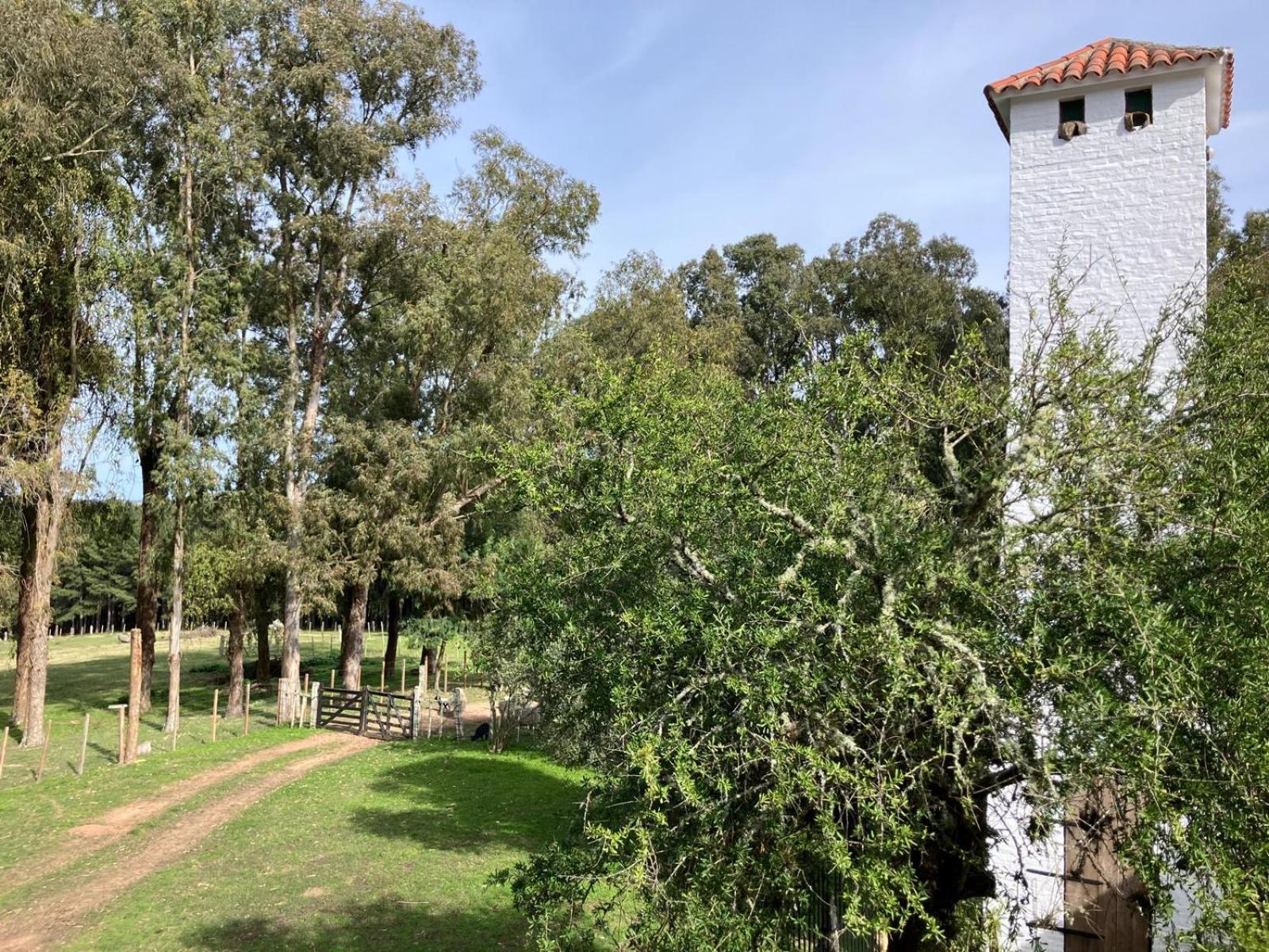 Pinos De La Quebrada Vila Treinta y Tres Exterior foto